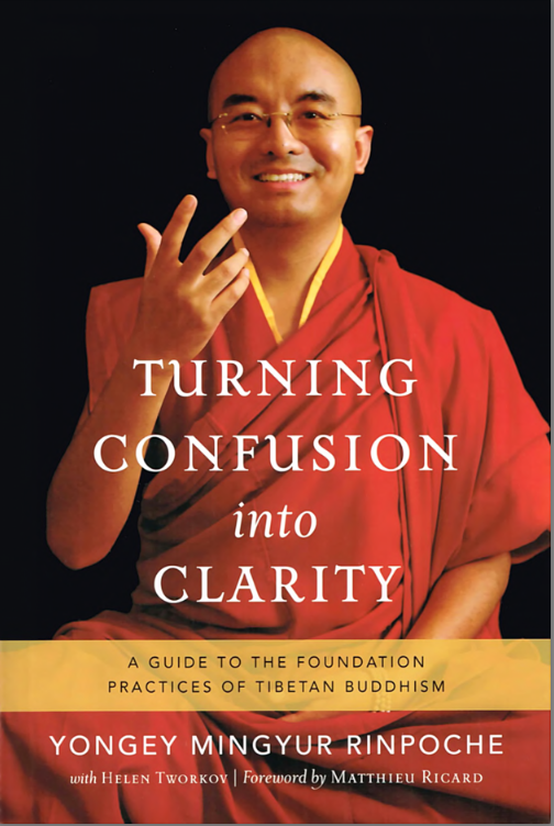 (image for) Turning Confusion Into Clarity by Mingyur Rinpoche (PDF)